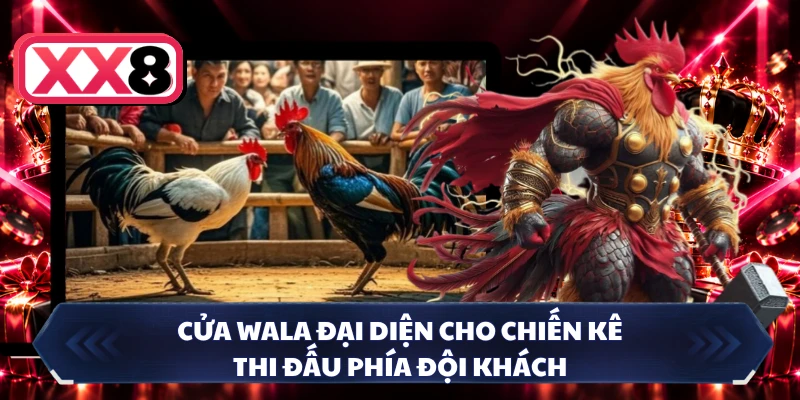 Cửa Wala đại diện cho chiến kê thi đấu phía đội khách