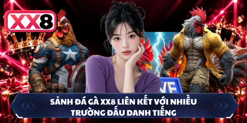 Sảnh đá gà XX8 liên kết với nhiều trường đấu danh tiếng